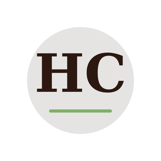 Heidi Chimney Services logo